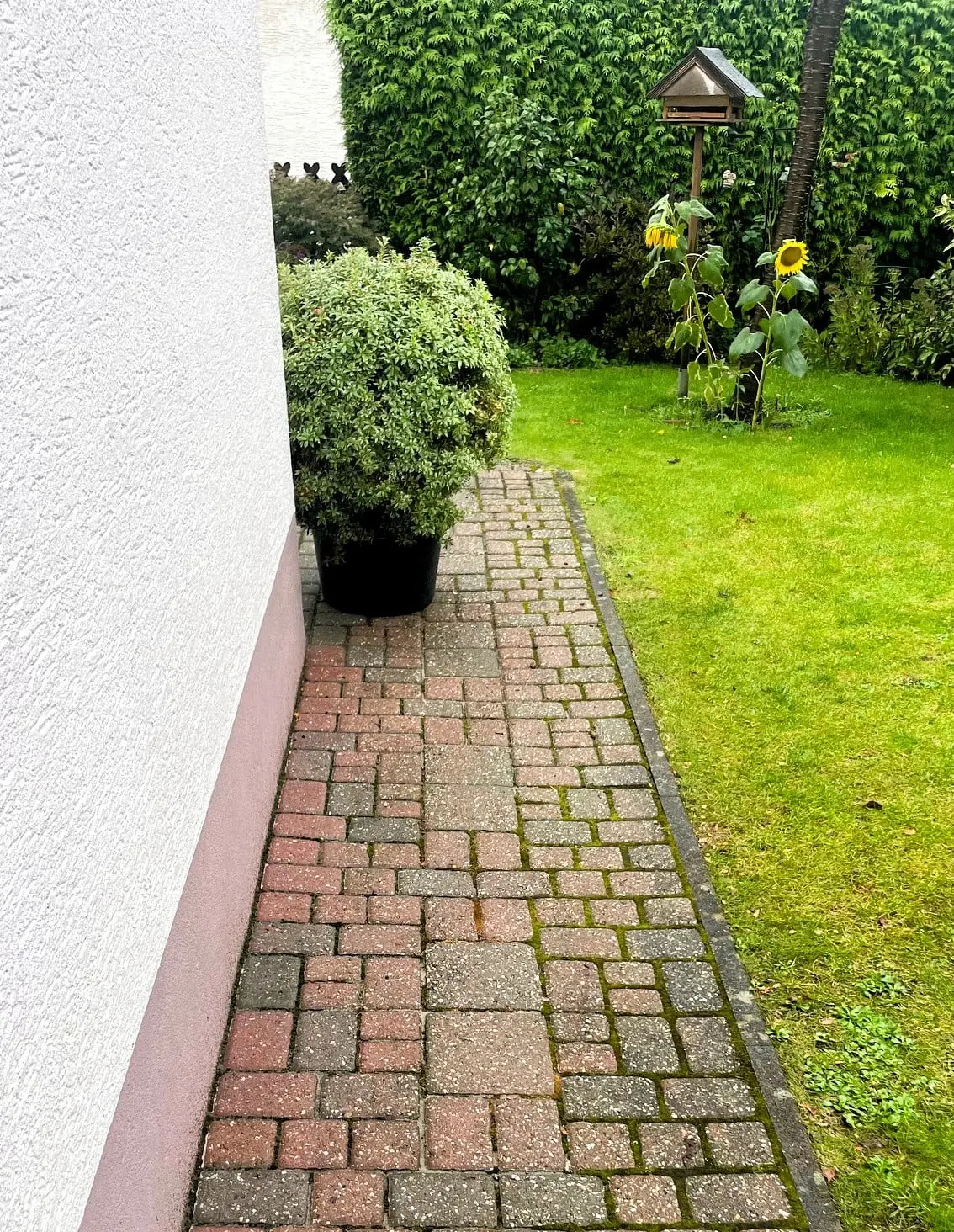 alter Gartenweg